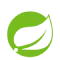 Spring Boot